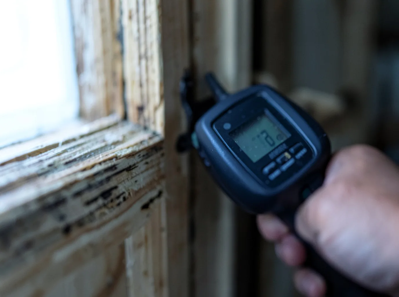 Moisture Inspection And Documentation in Philadelphia, MO